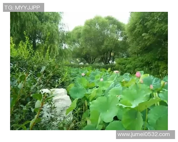 飞盘追梦：周秀英的运动人生与心灵对话之旅